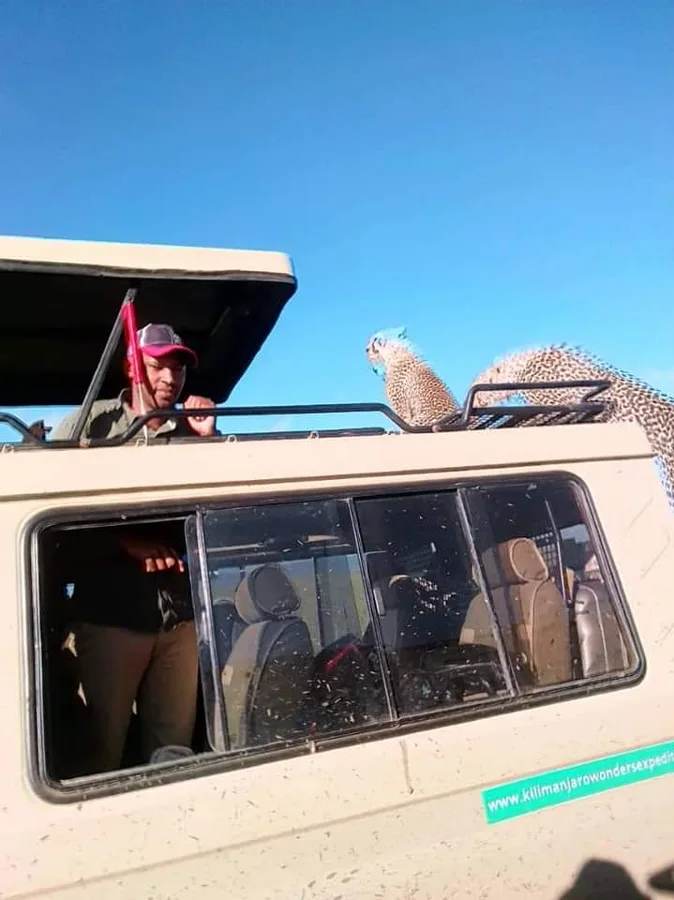 Tanzania Wildlife Safari & Culture Tour: Explore More