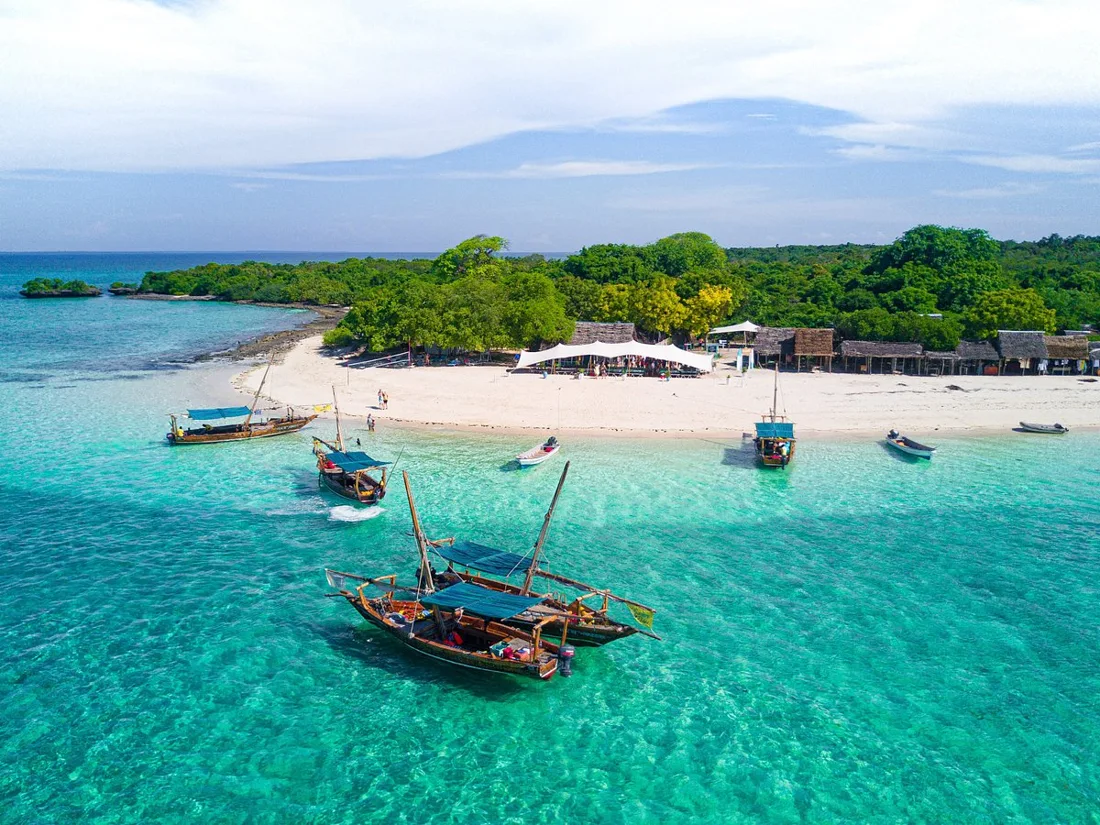 Safari & Beach Holiday in Zanzibar: Adventure Awaits
