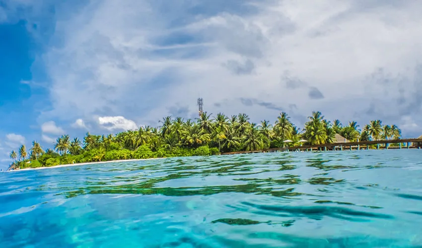 Zanzibar Diving Tours & Holidays: Dive into Adventure