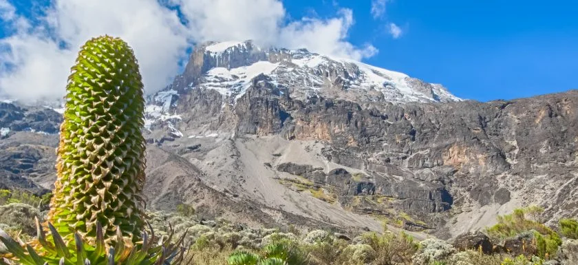 Kilimanjaro Climb: Lemosho Route Expedition